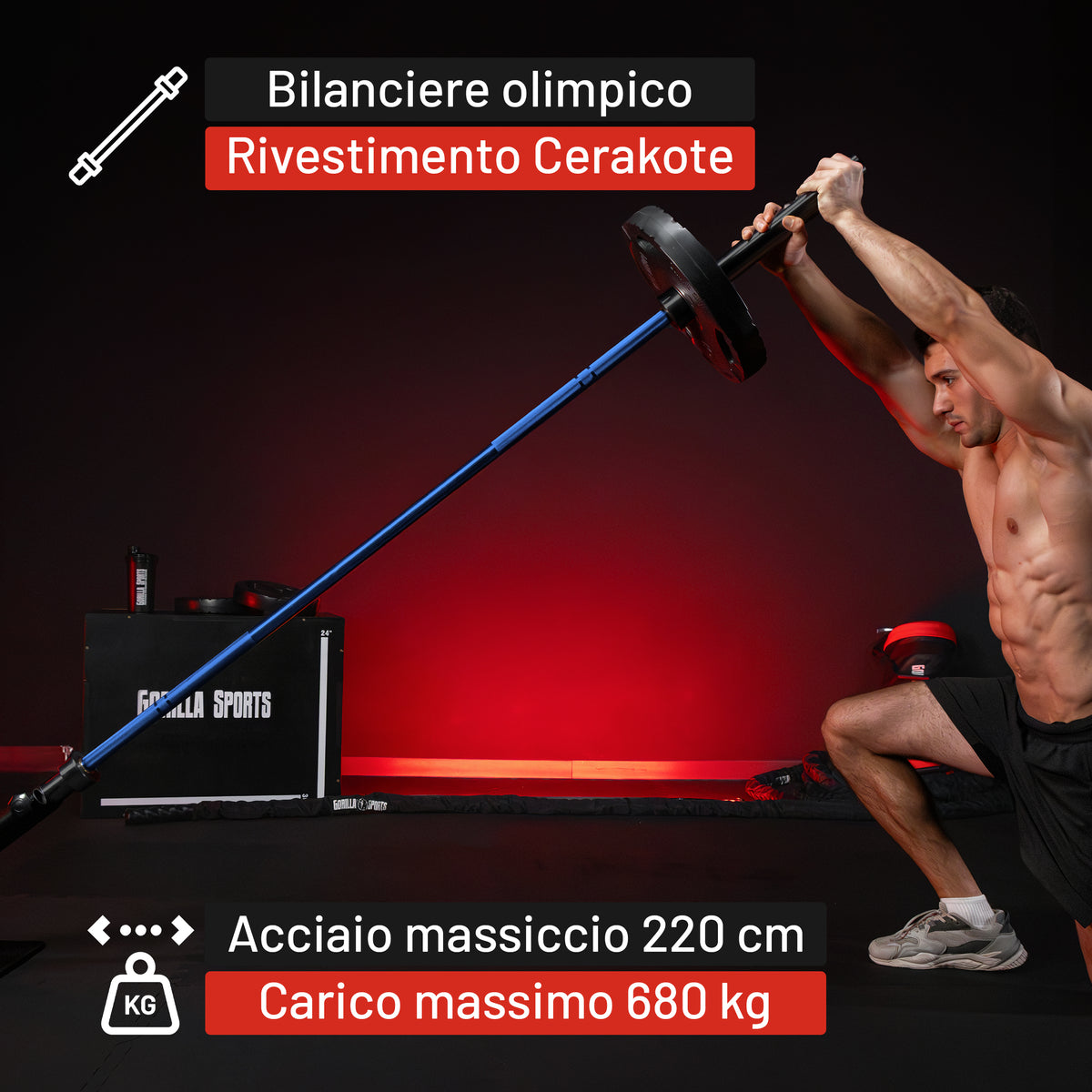 Bilanciere Olimpico 50/51 mm