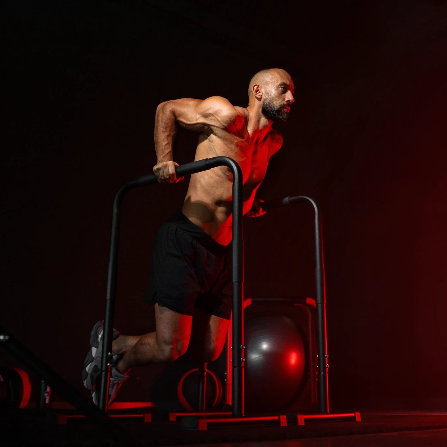 Parallele Dip Autoportanti Regolabili 100 kg