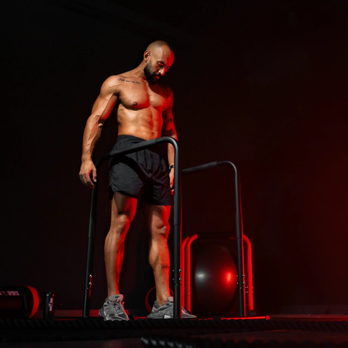 Parallele Dip Autoportanti Regolabili 100 kg